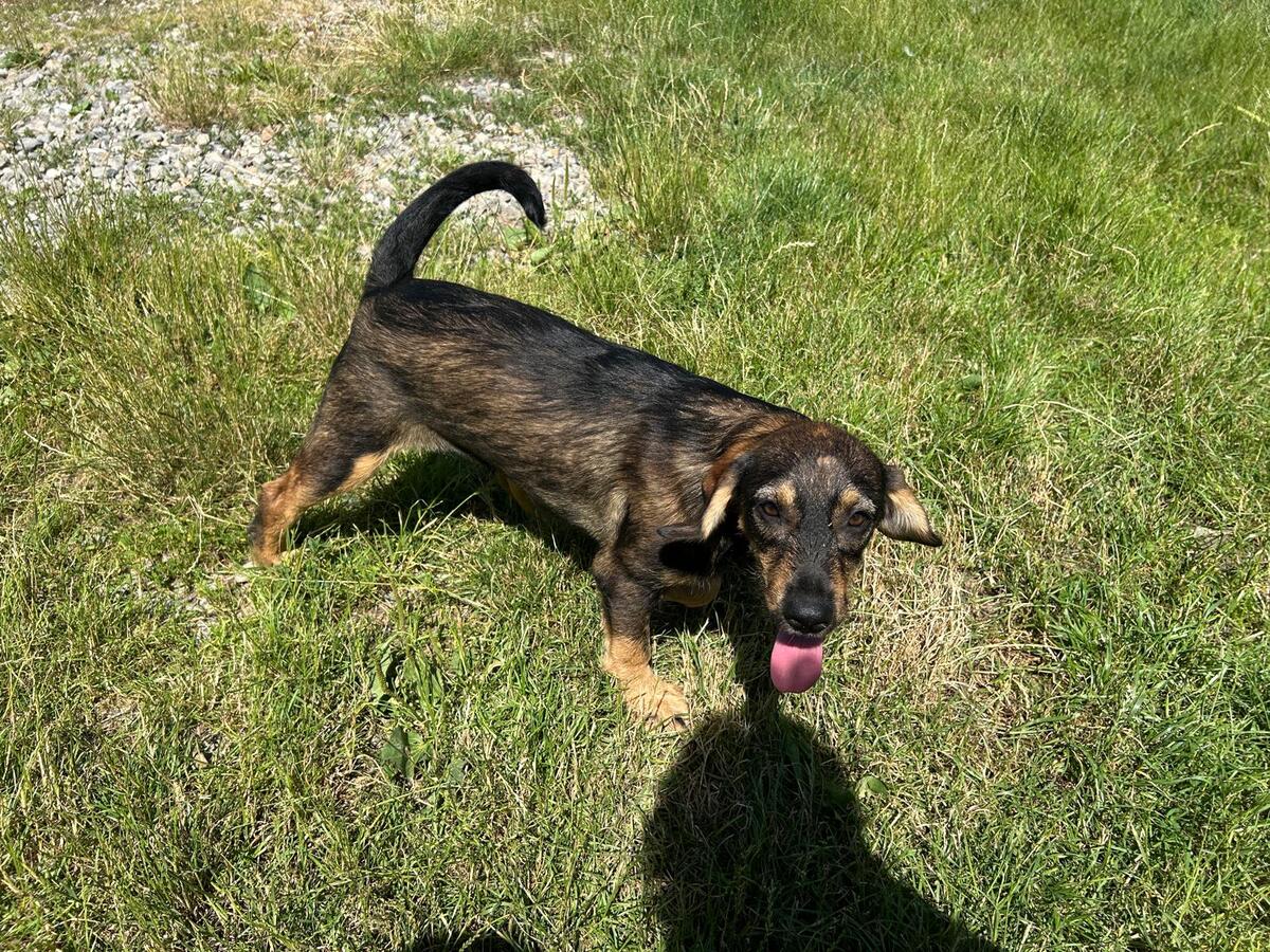 Adoption Leni