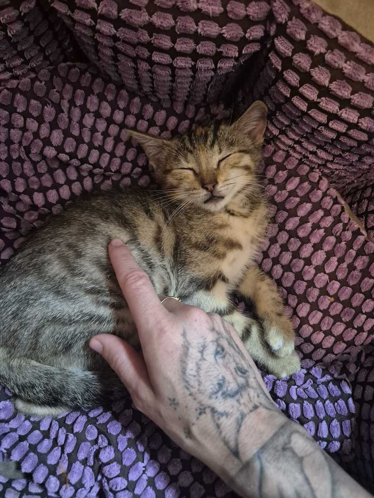Adoption Jane
