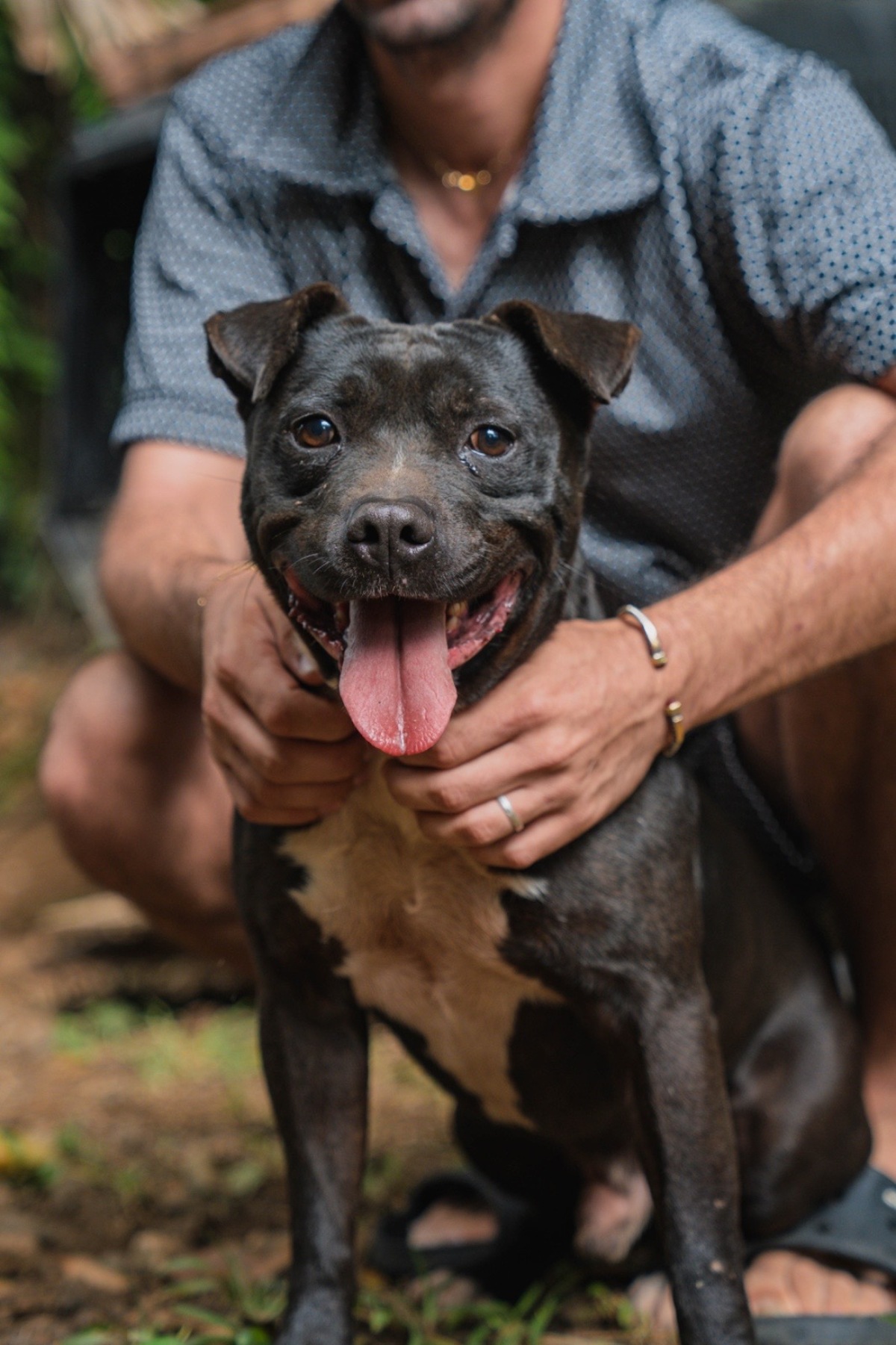 Adoption Tyson