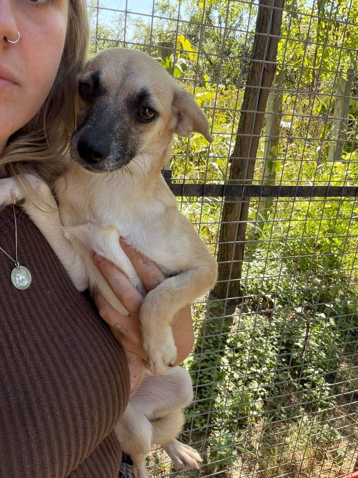 Adoption Aura