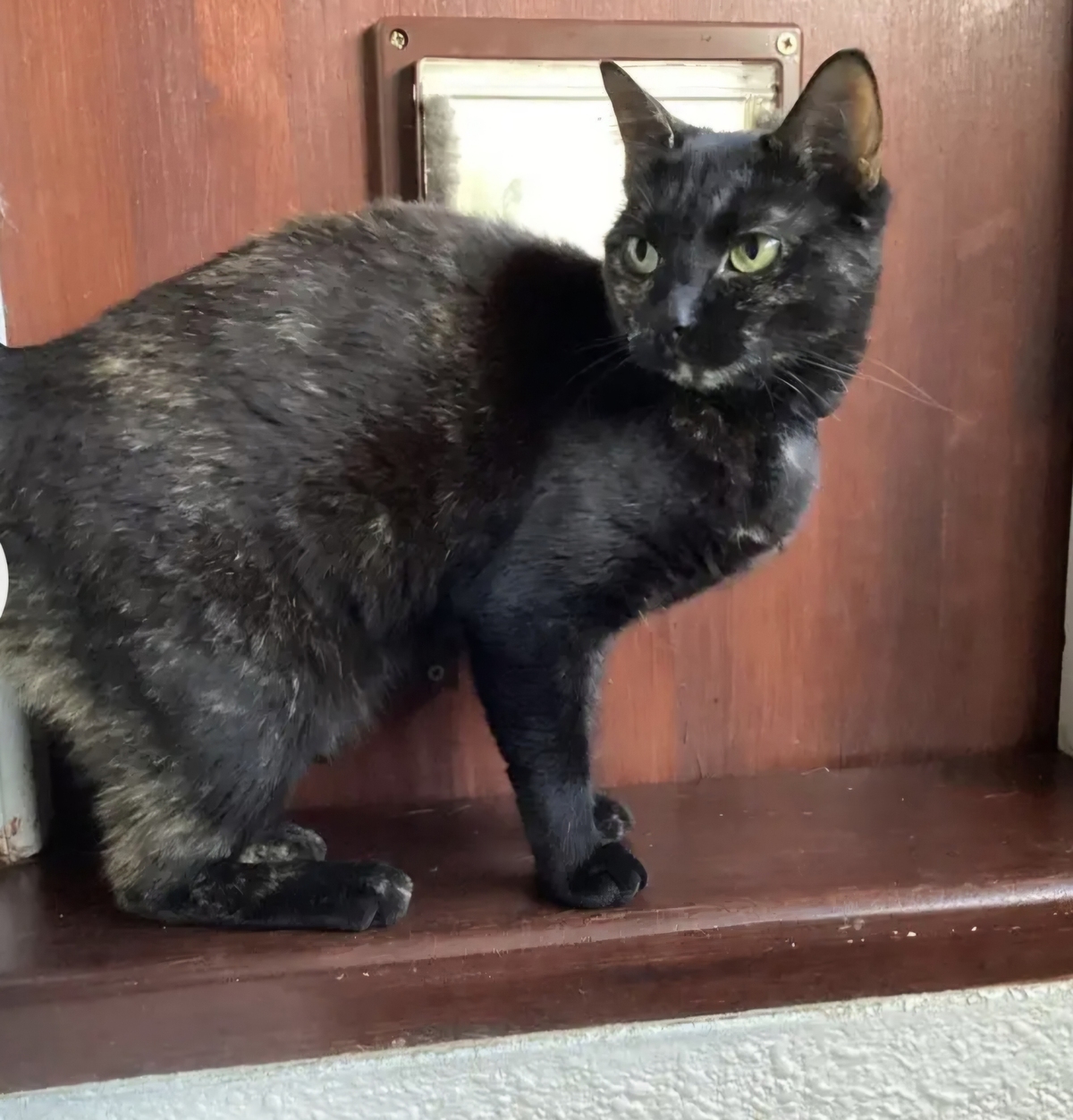 Adoption Asträlya 
