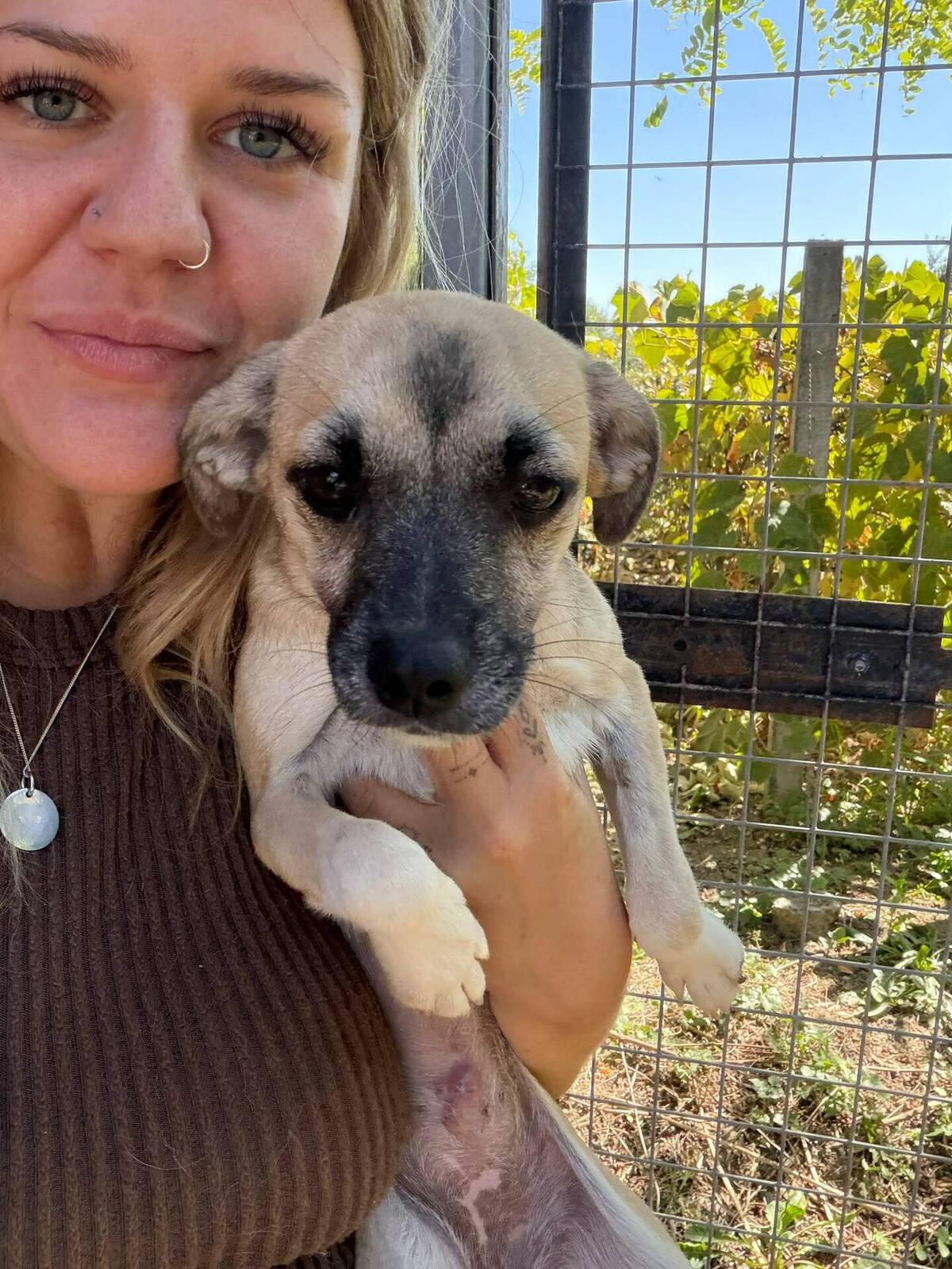 Adoption Gaïa