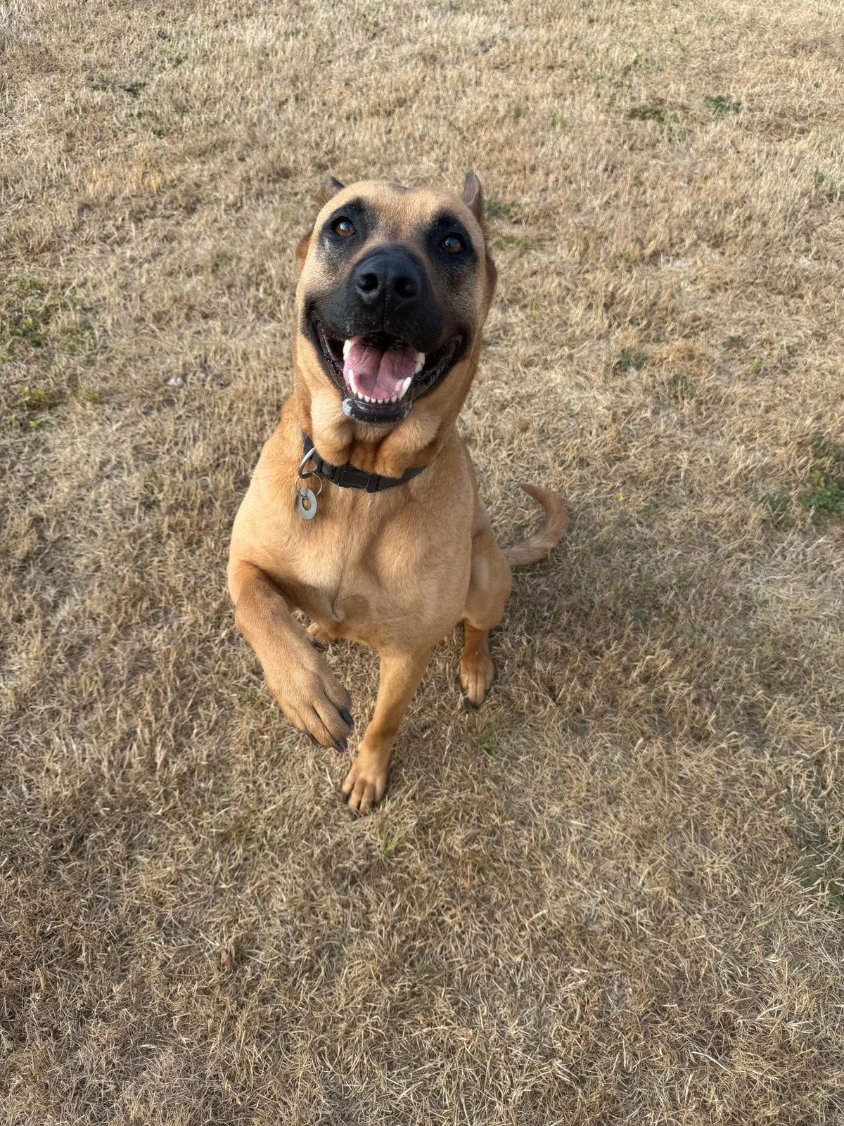 Adoption Mabrouka