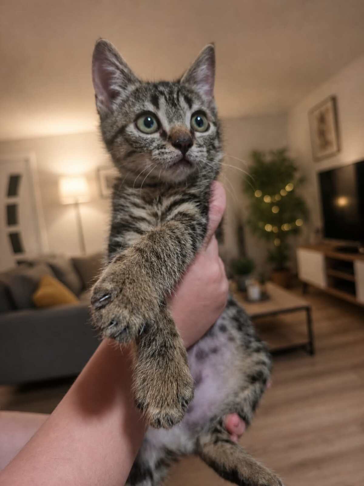 Adoption Lee