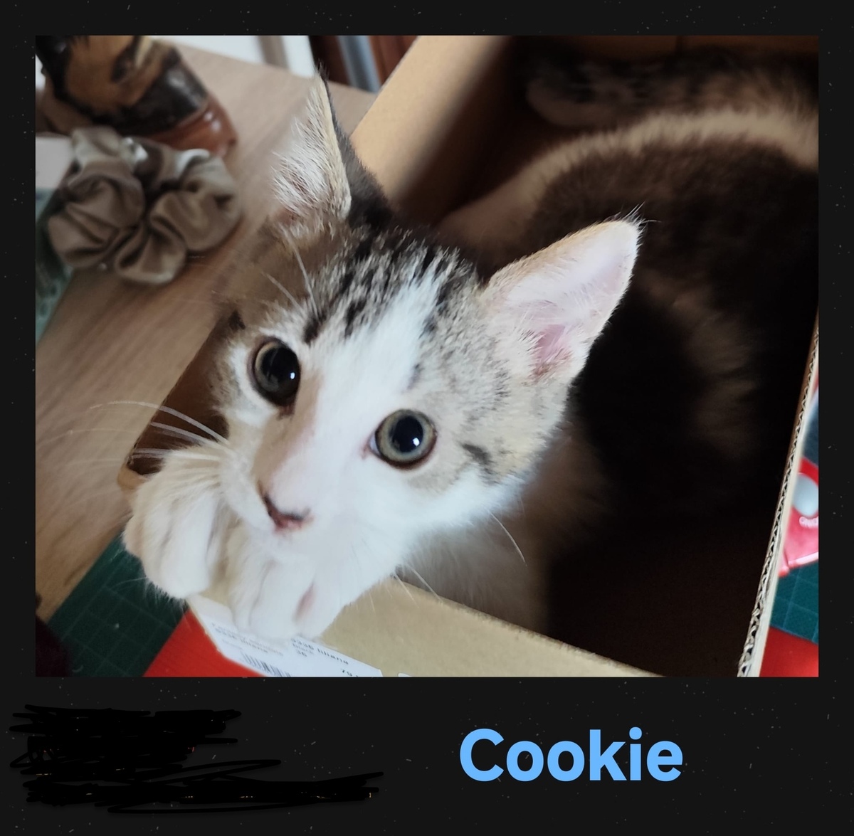 Adoption Cookie