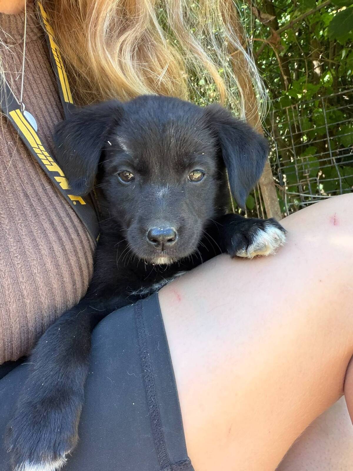 Adoption Maddy