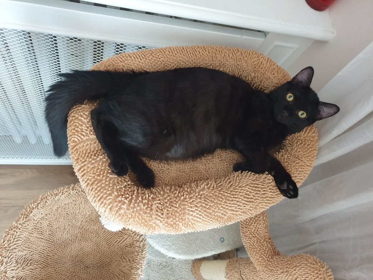 Adoption Marie-Oceane 