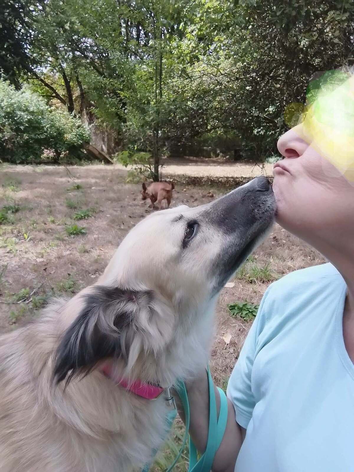 Adoption Nope