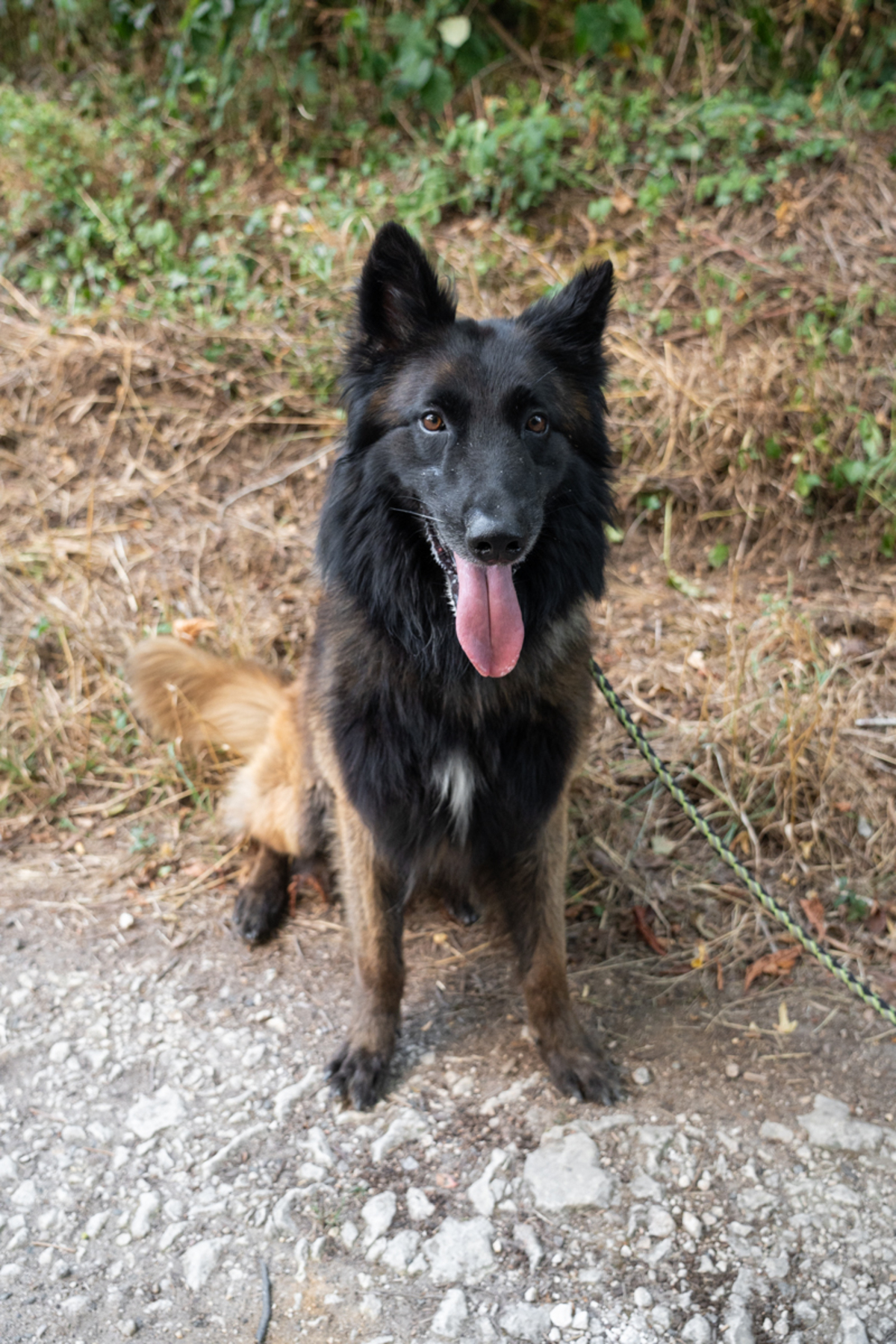 Adoption Caramel