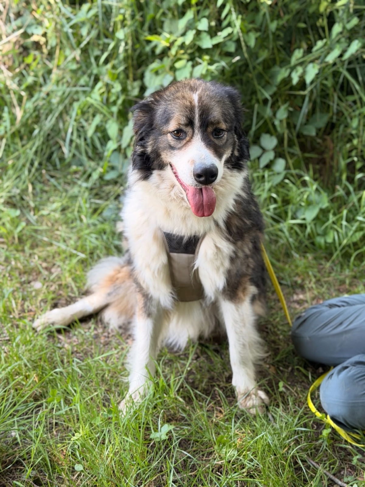 Adoption Kaly