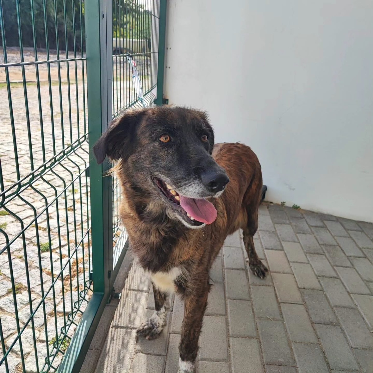 Adoption Vilma