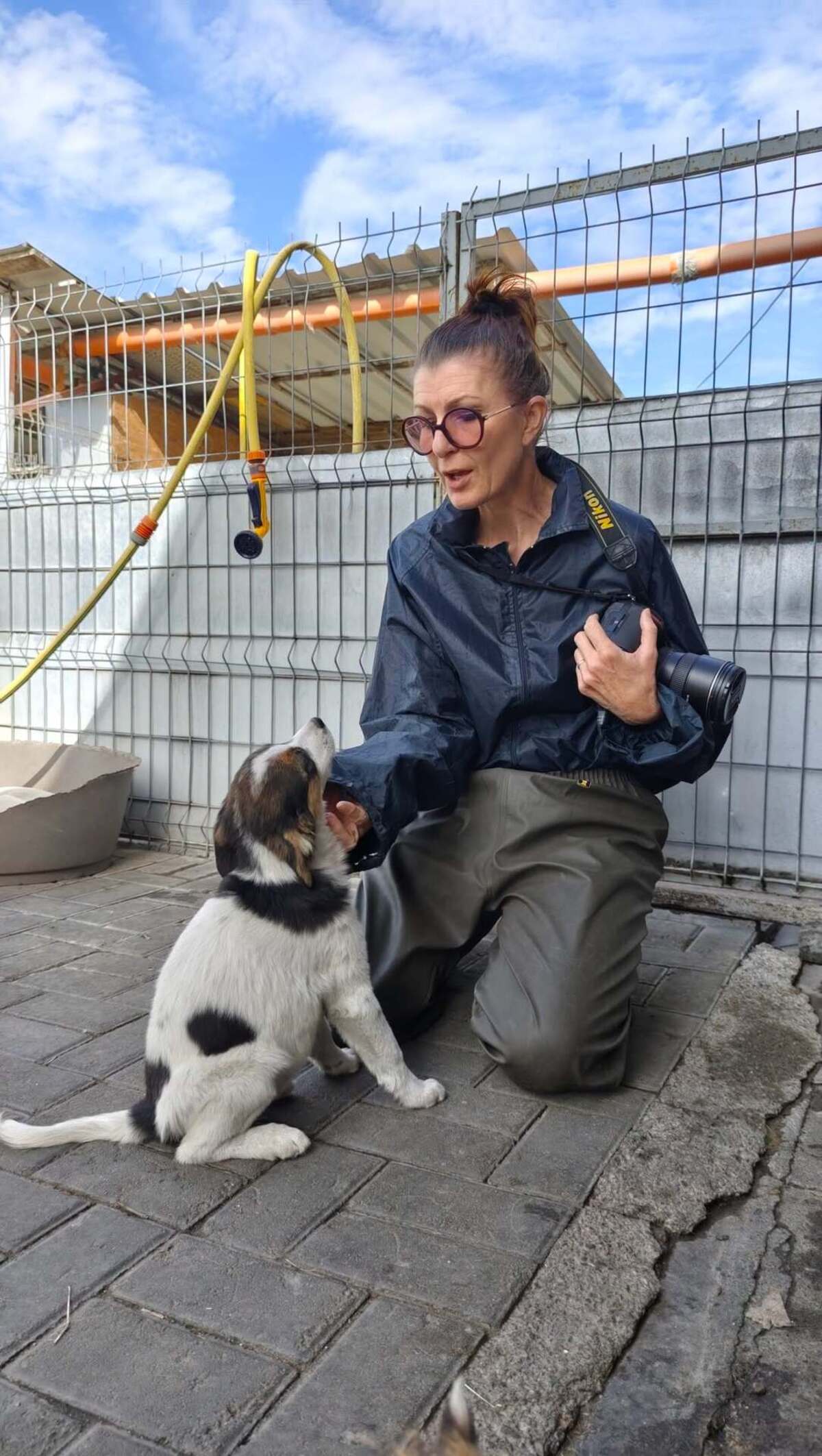 Adoption Irene