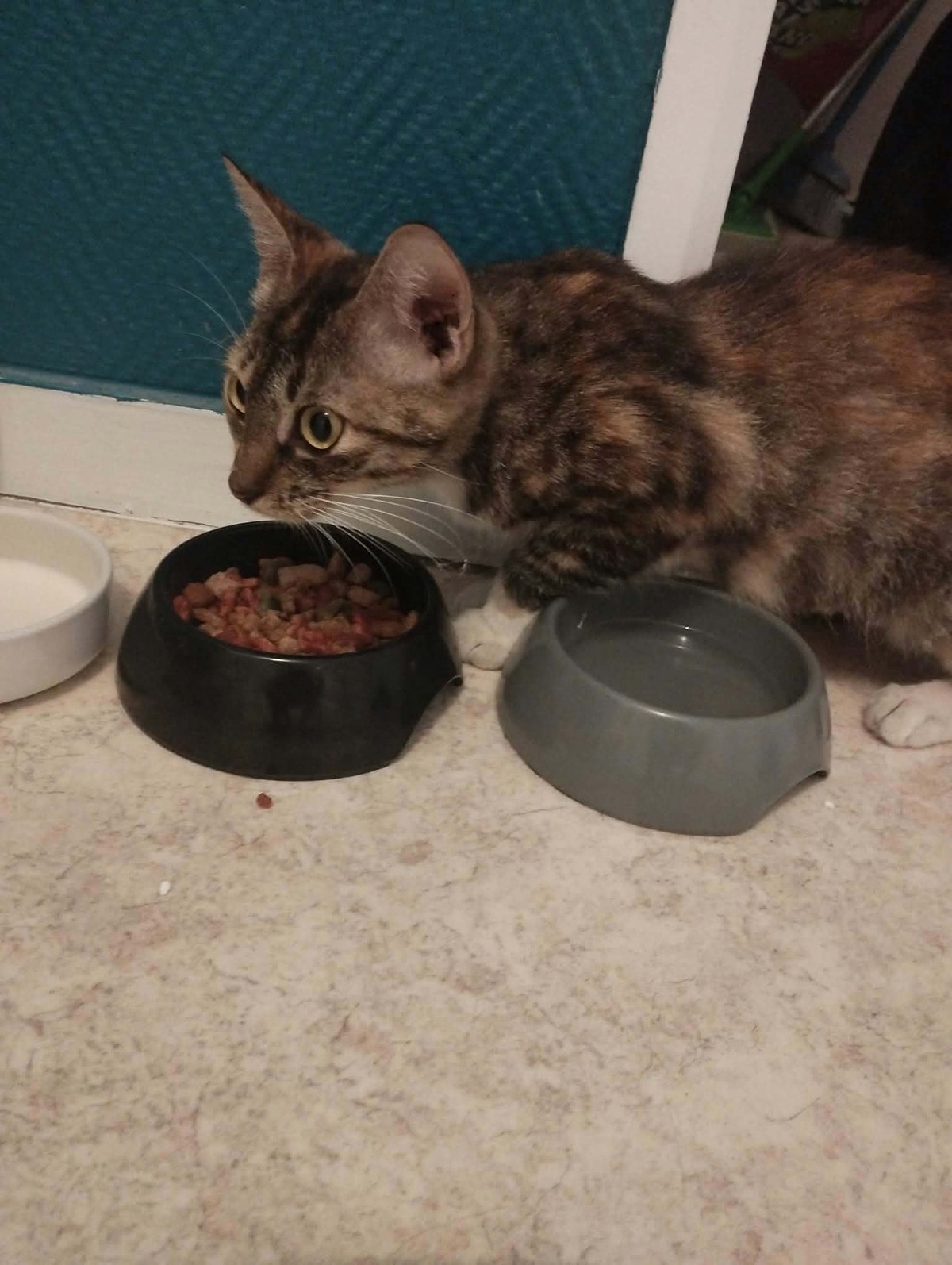 Adoption Lilith
