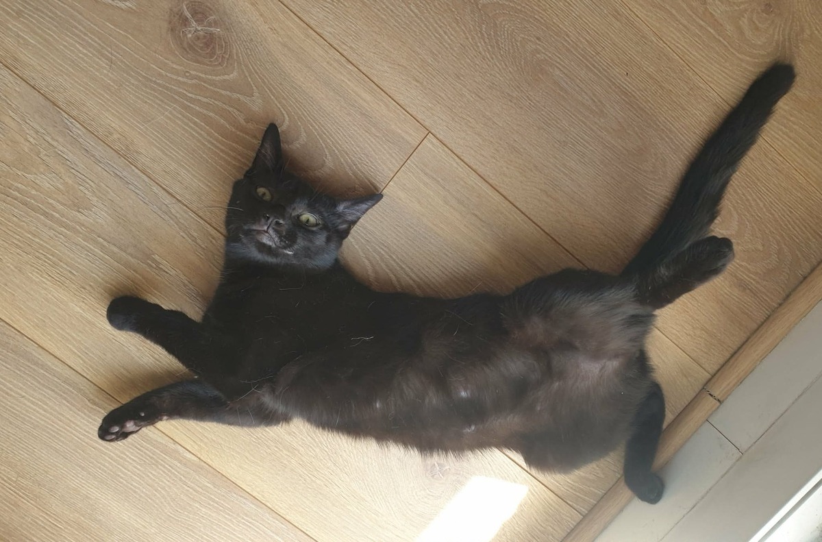 Adoption Marie-Oceane 