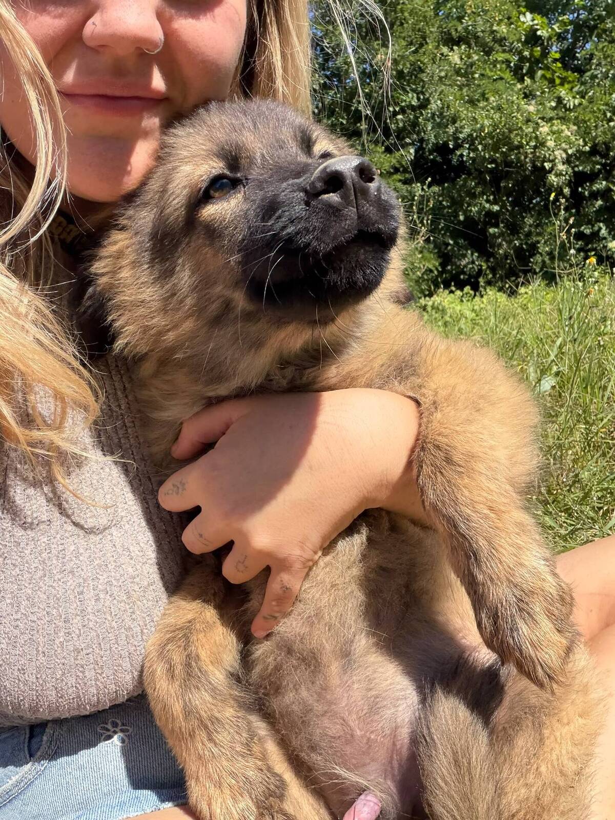 Adoption Micky