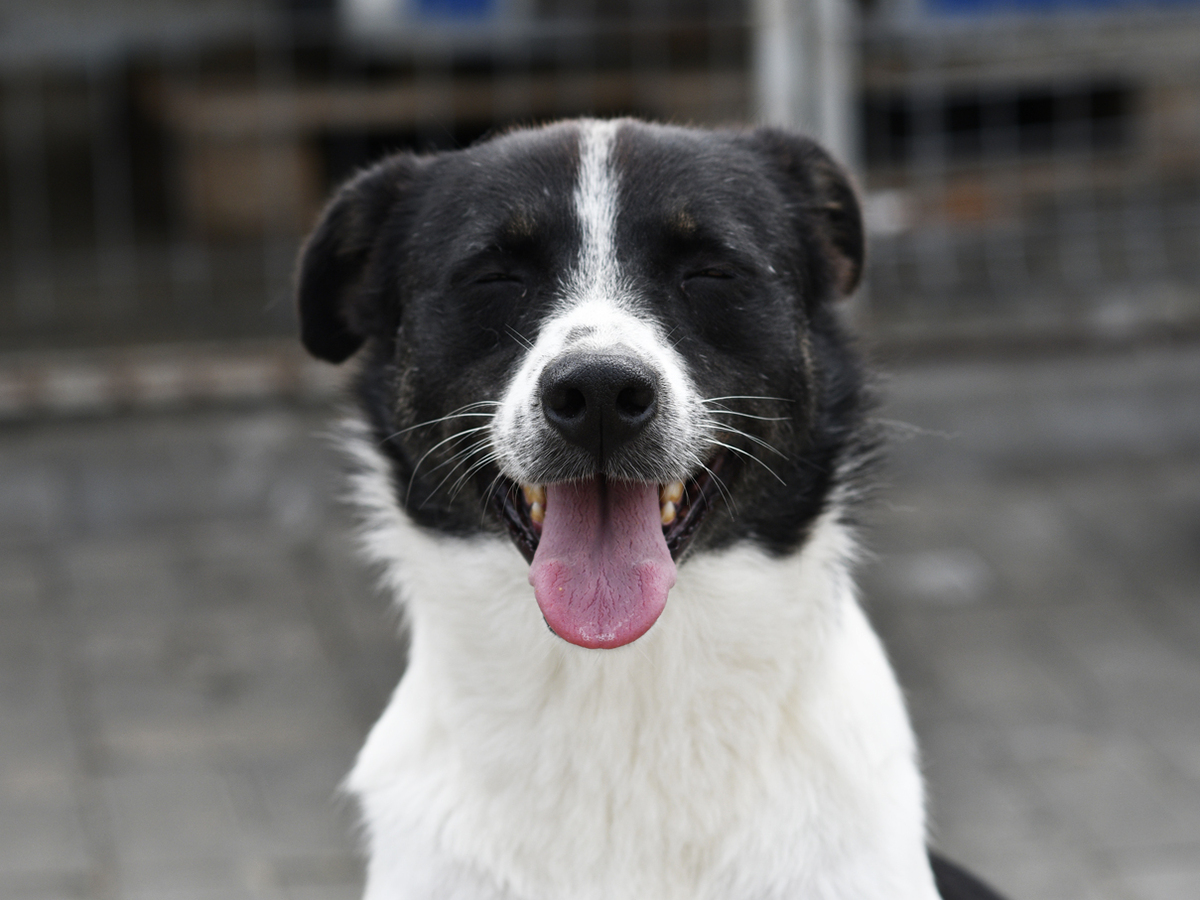 Adoption Hope