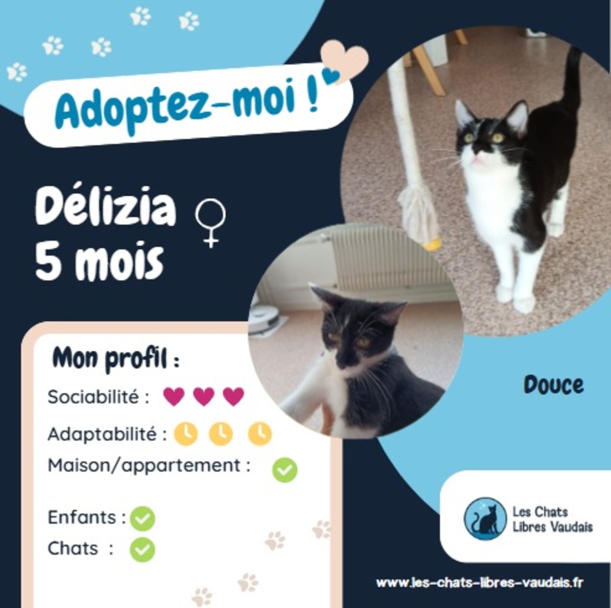 Adoption Délizia