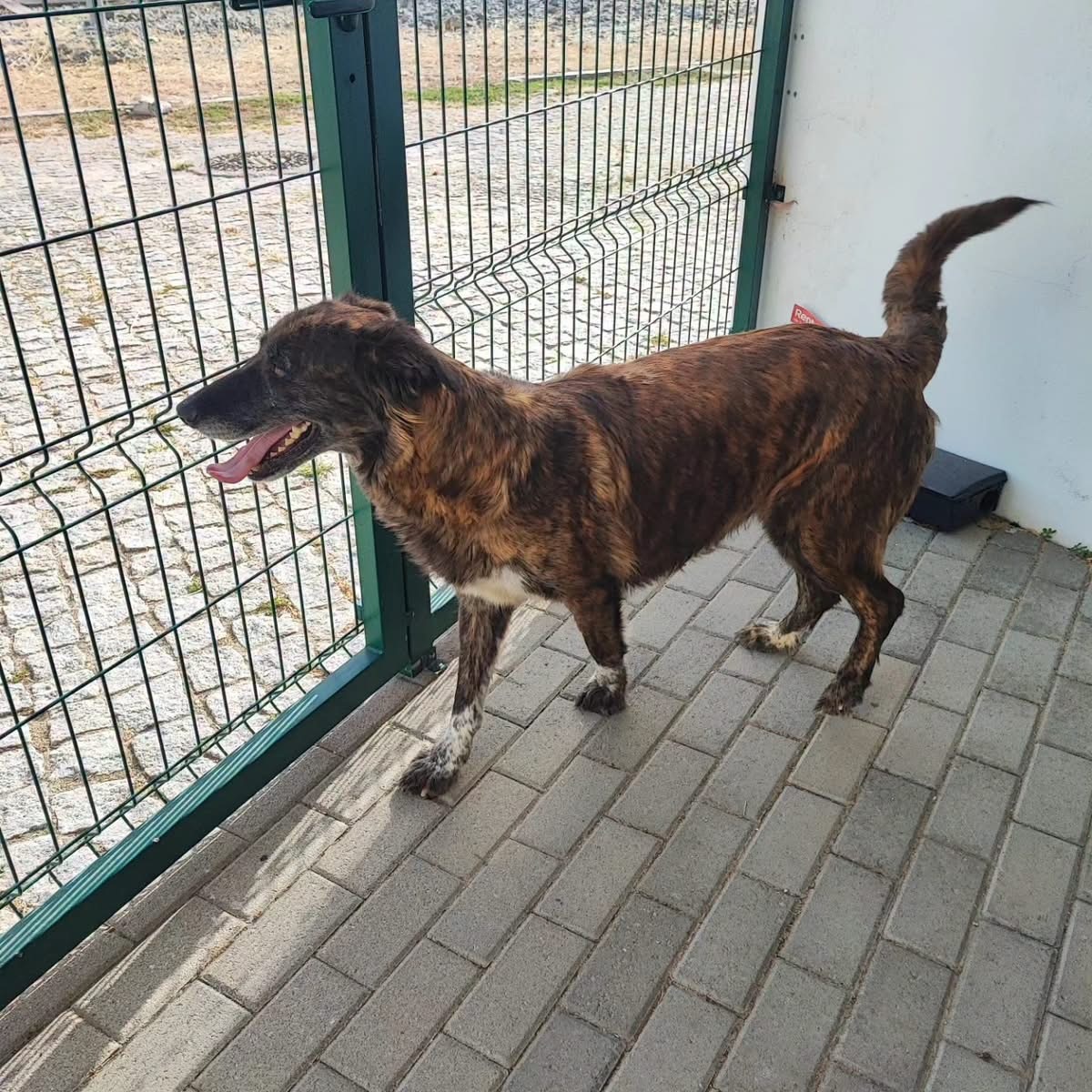 Adoption Vilma