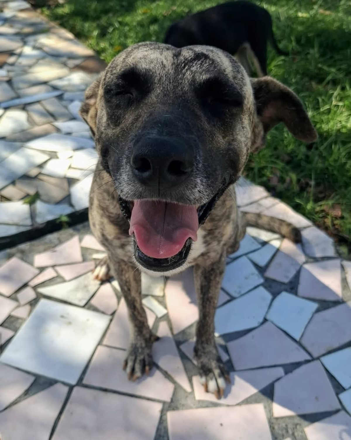 Adoption Donna