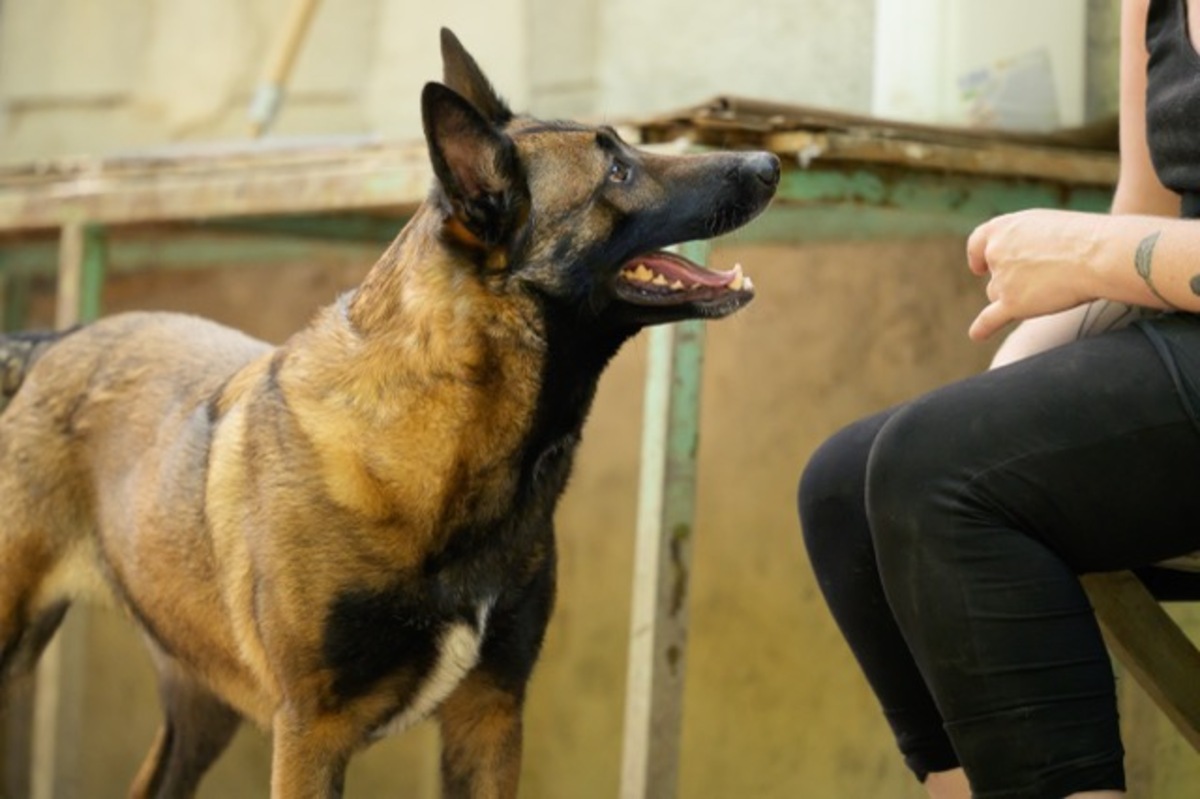 Adoption SALLY