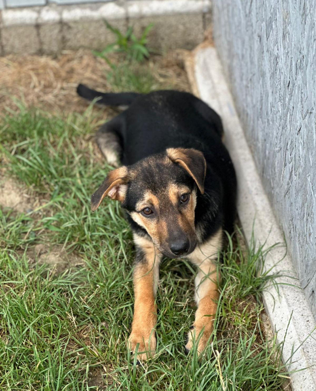 Adoption Tiana