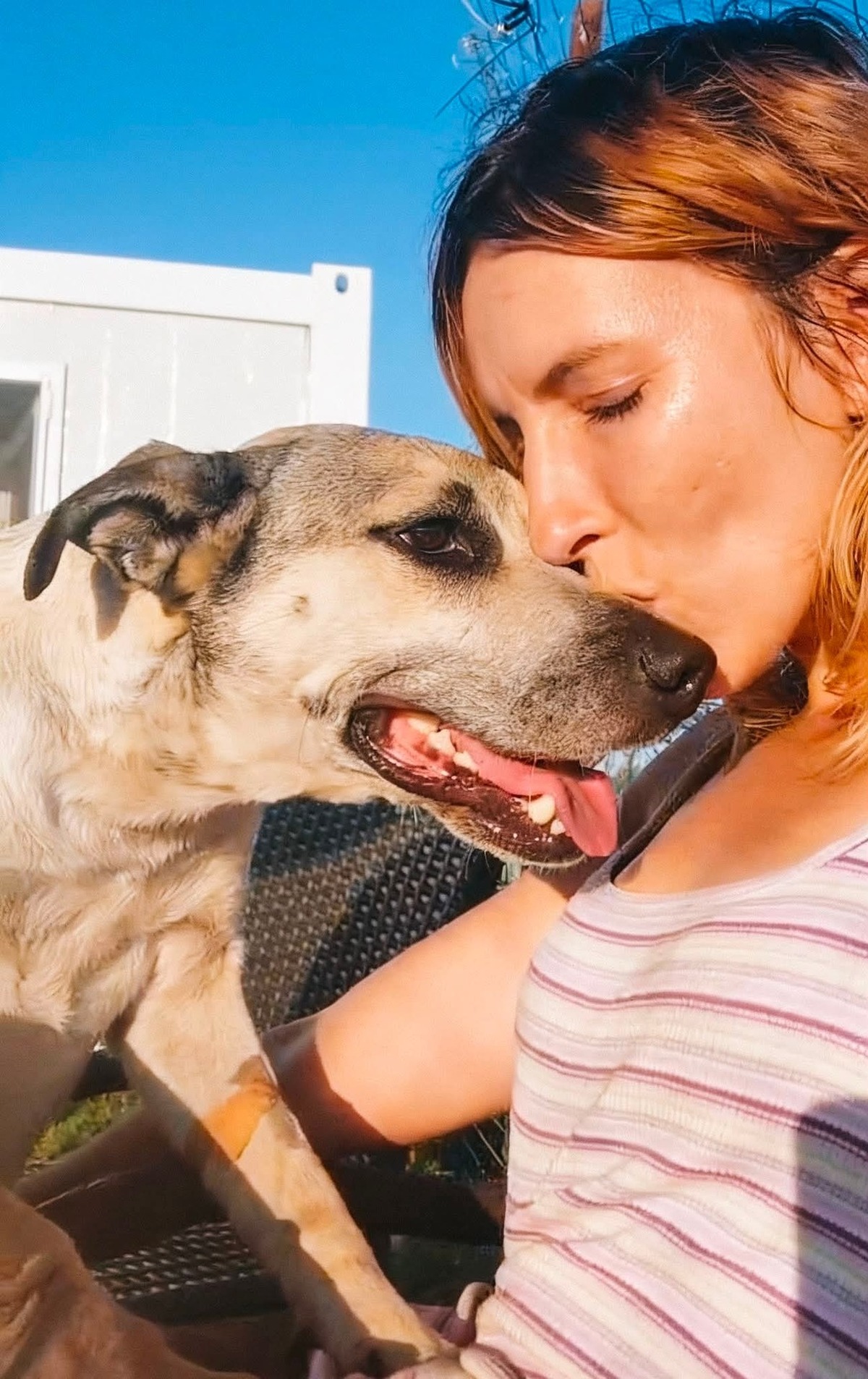Adoption Hailey