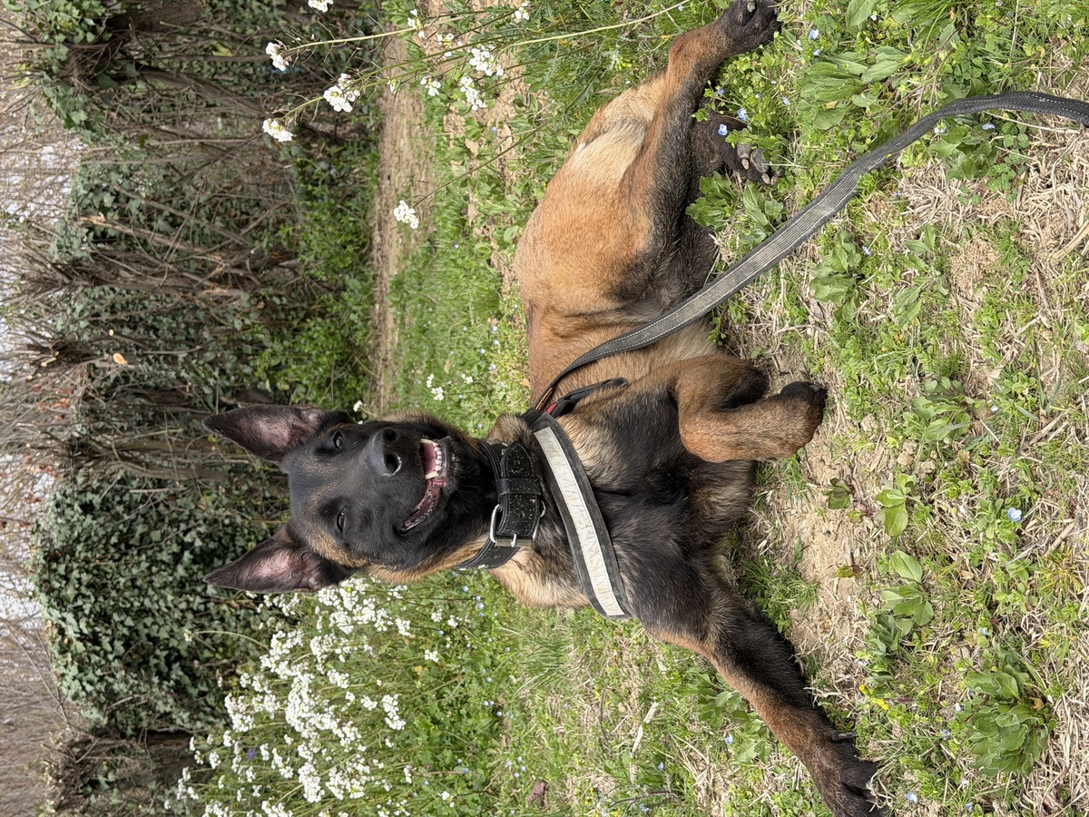 Adoption Farah