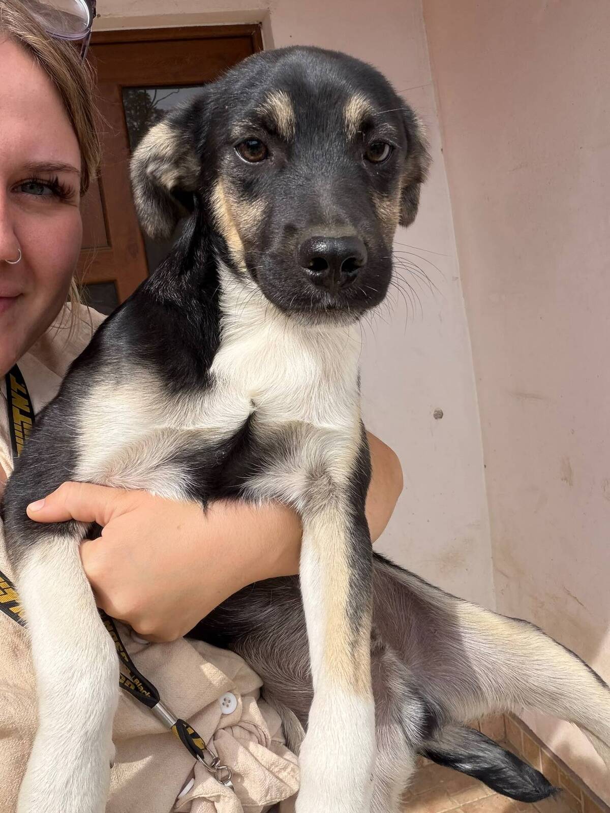 Adoption Chico