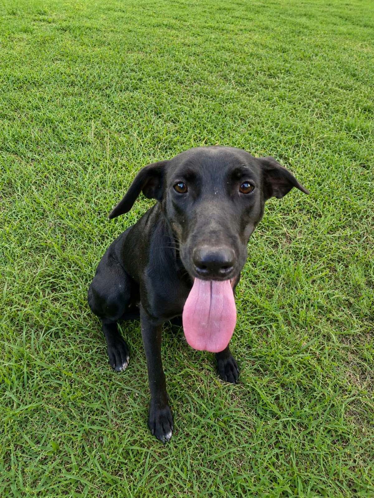 Adoption Naomie