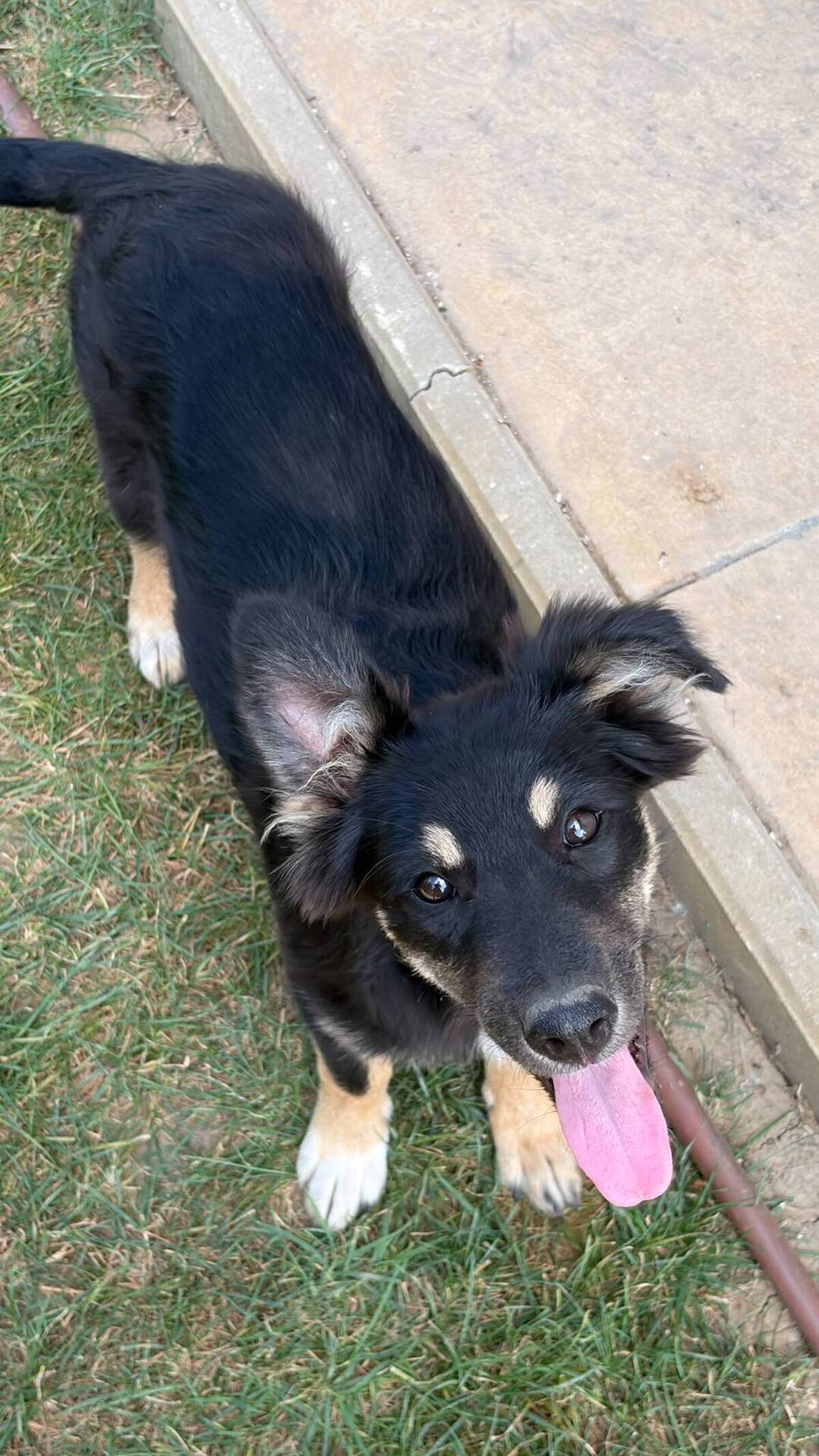 Adoption Lilly