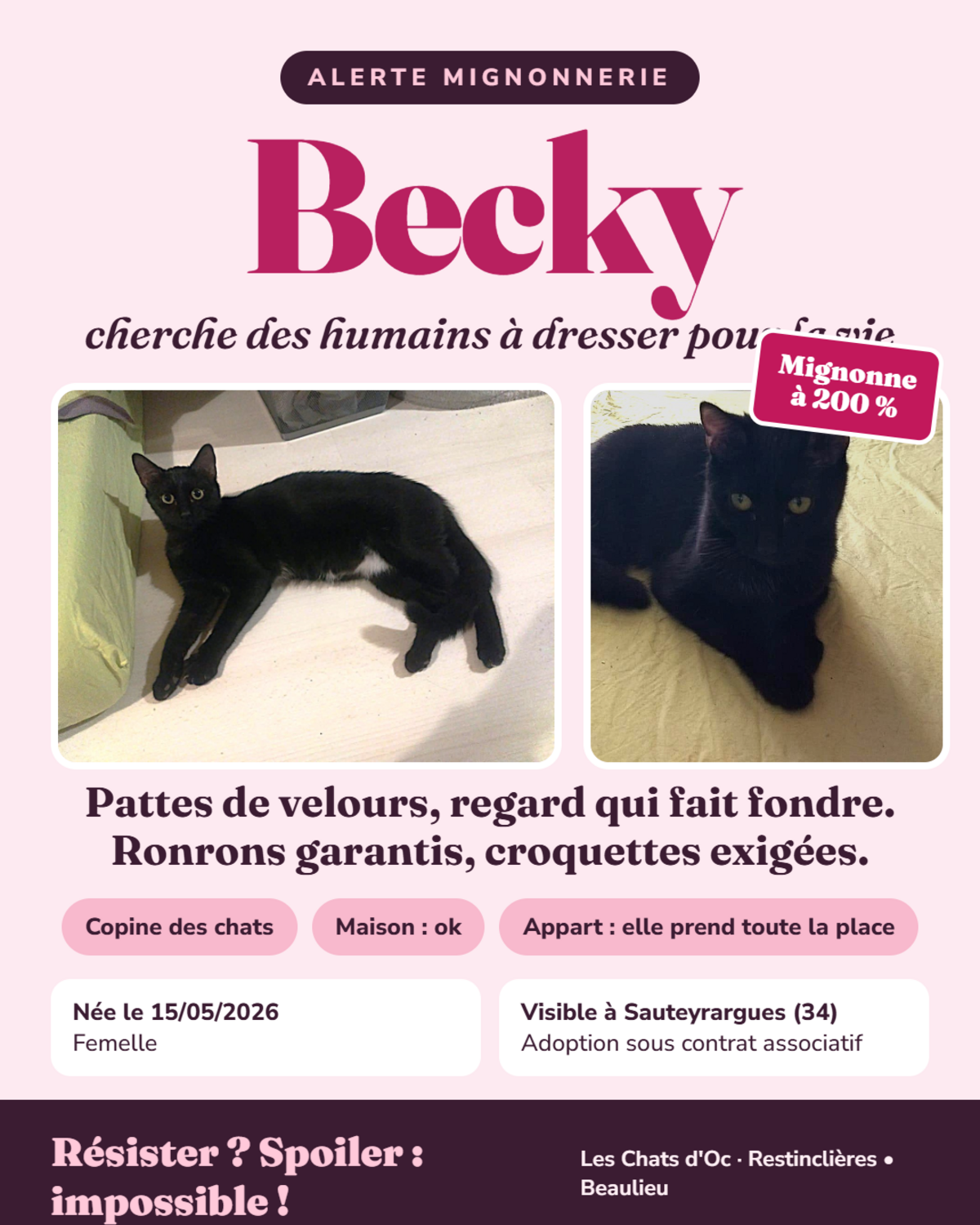 Adoption Becky