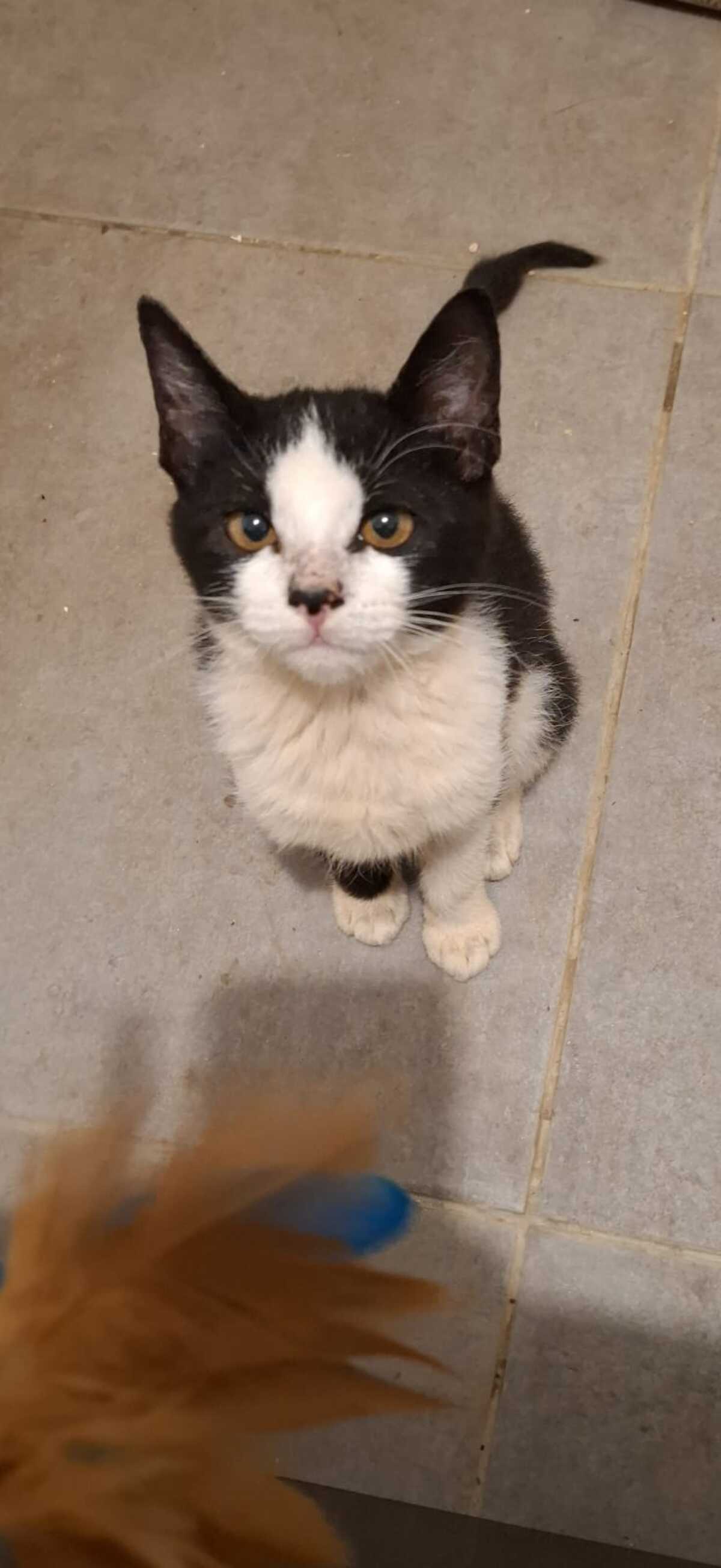 Adoption Jacqueline