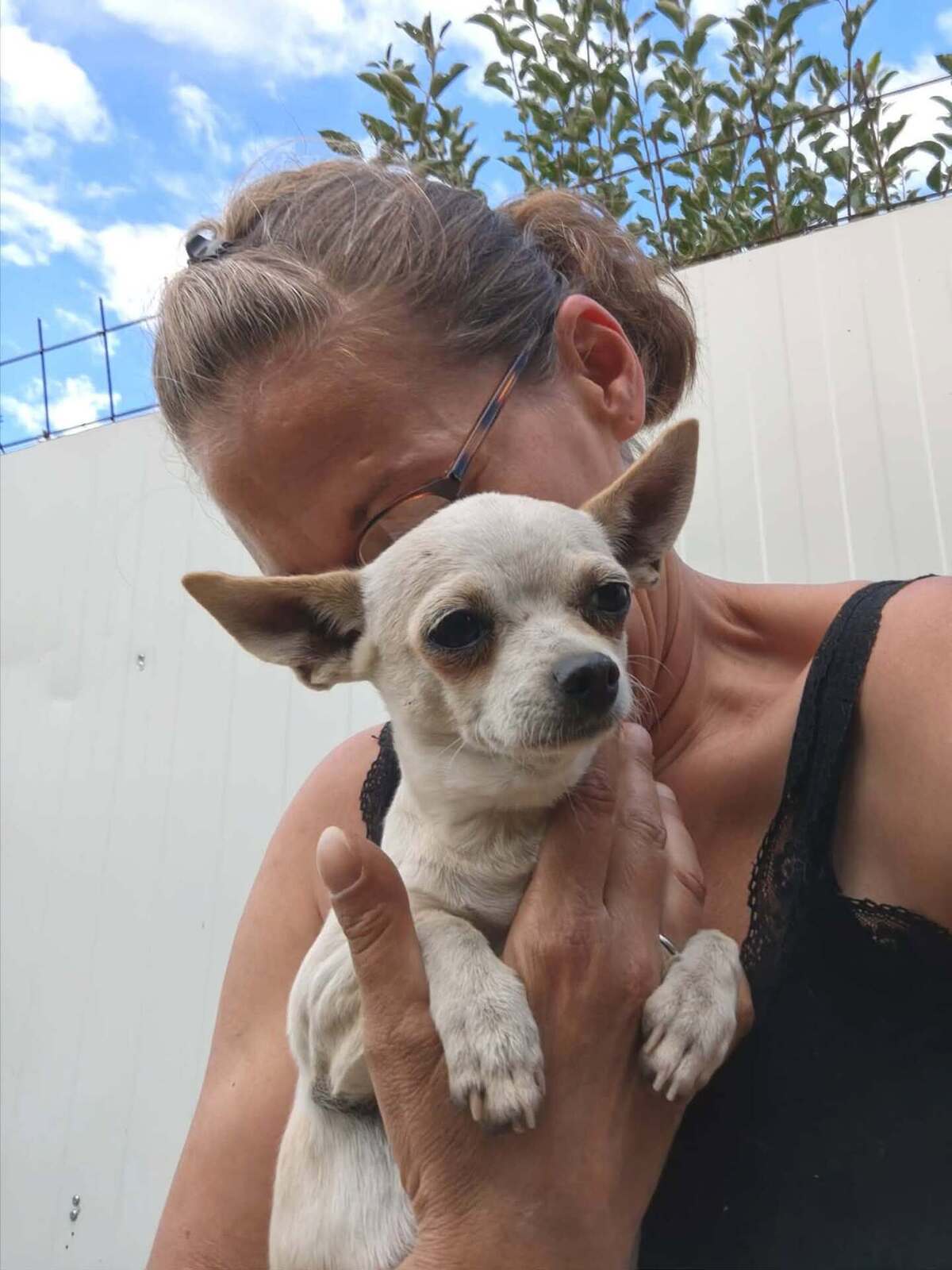 Adoption Lolita