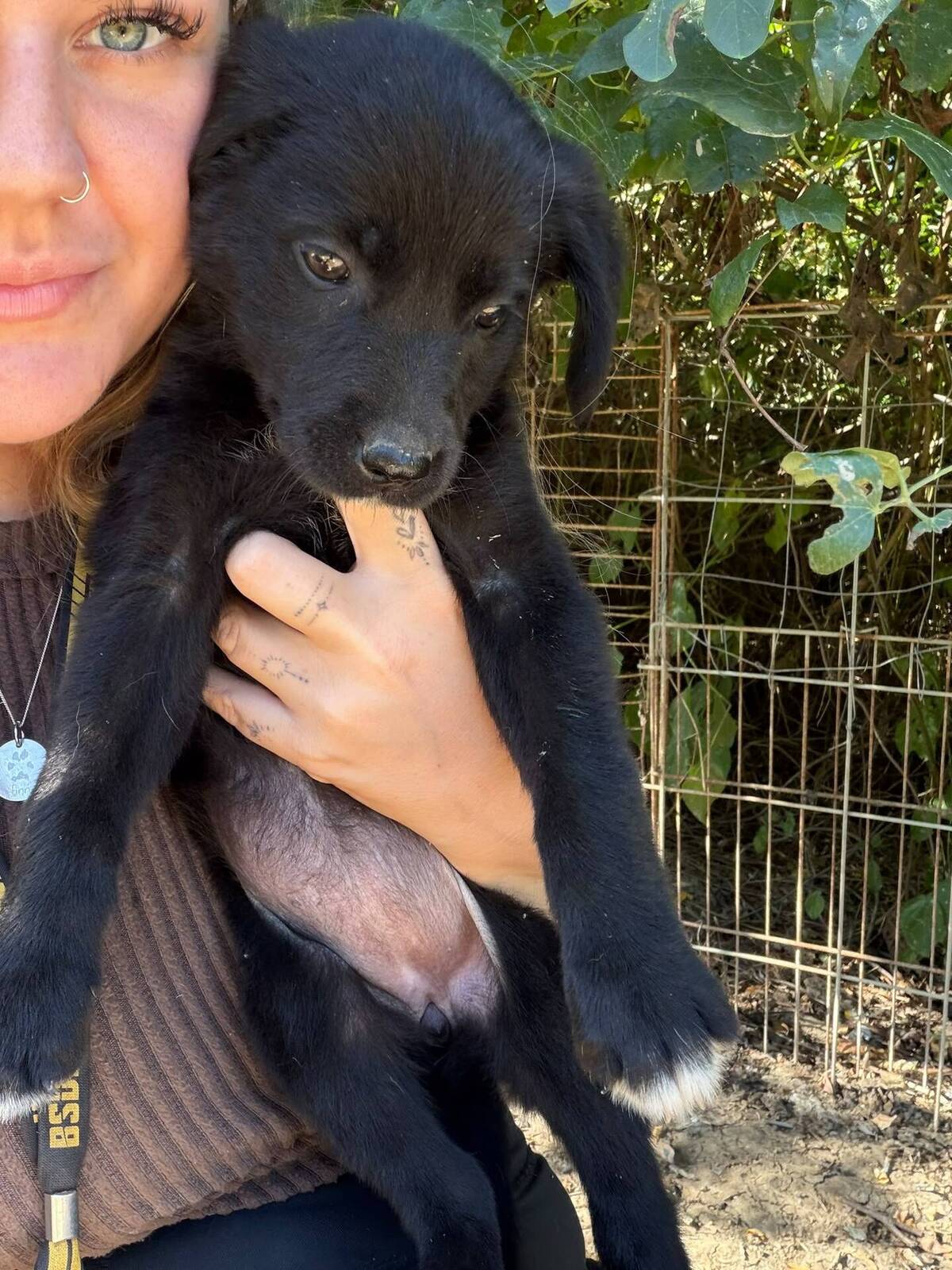 Adoption Maddy