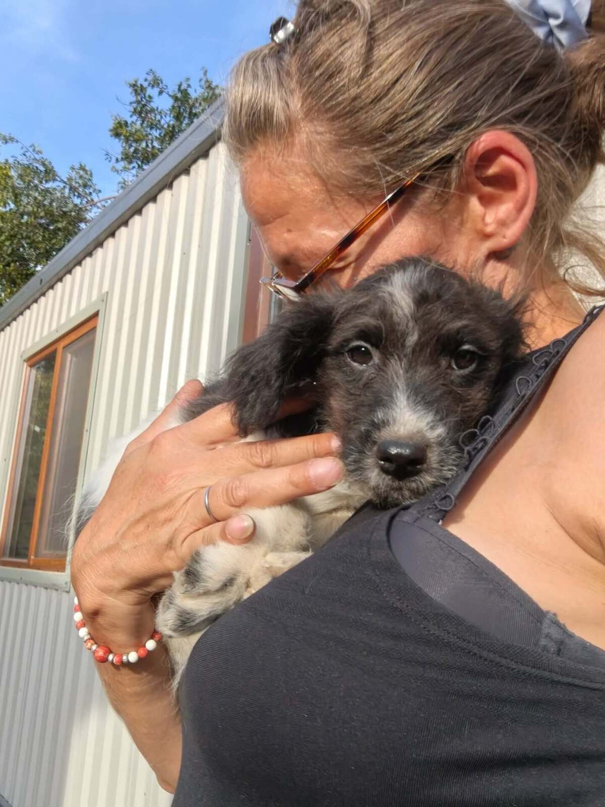 Adoption Crunchie