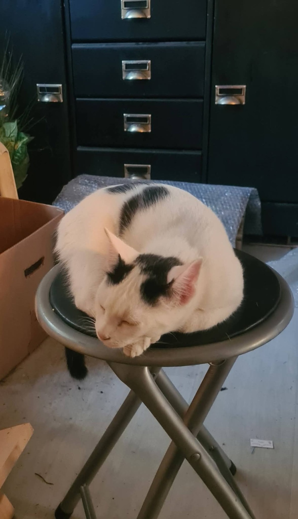 Adoption Benoît 