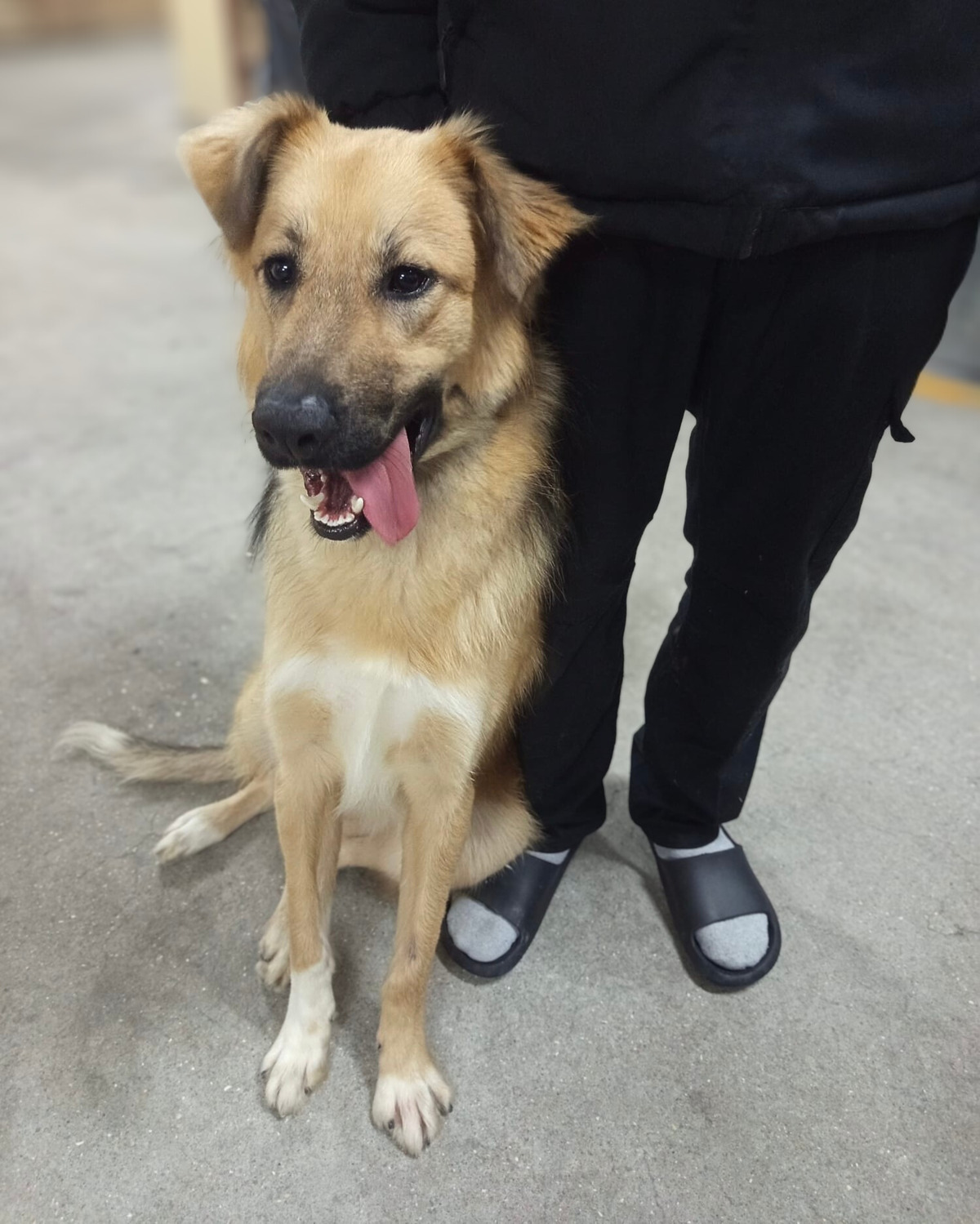 Adoption Kinder