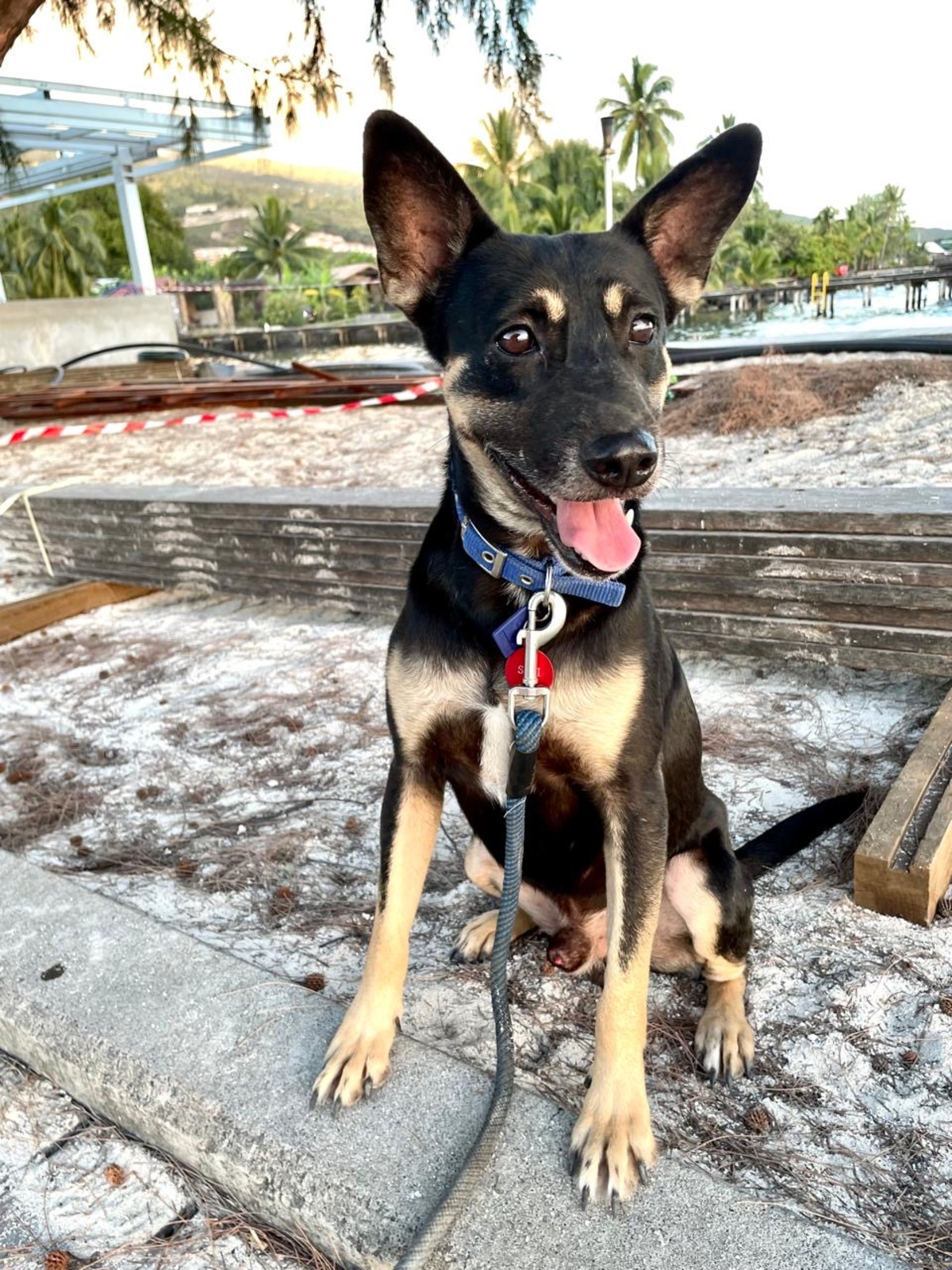 Adoption SIKI