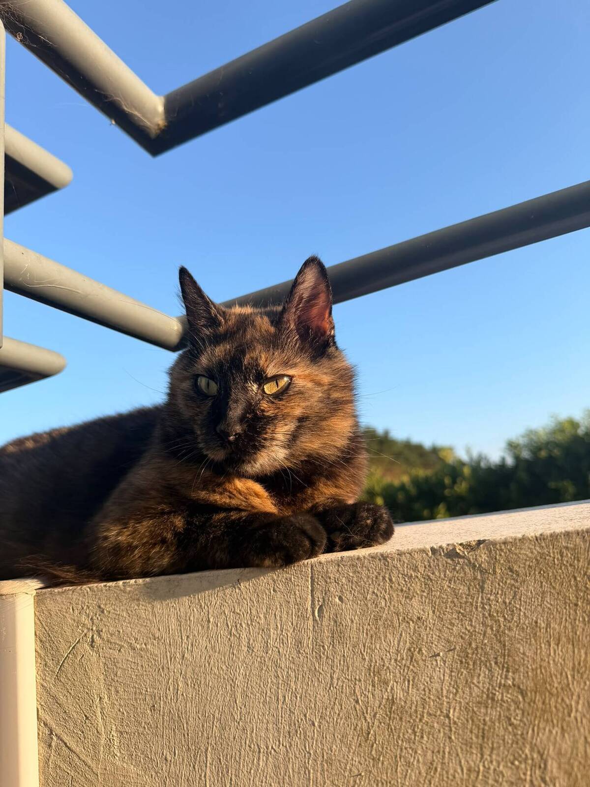 Adoption Hope