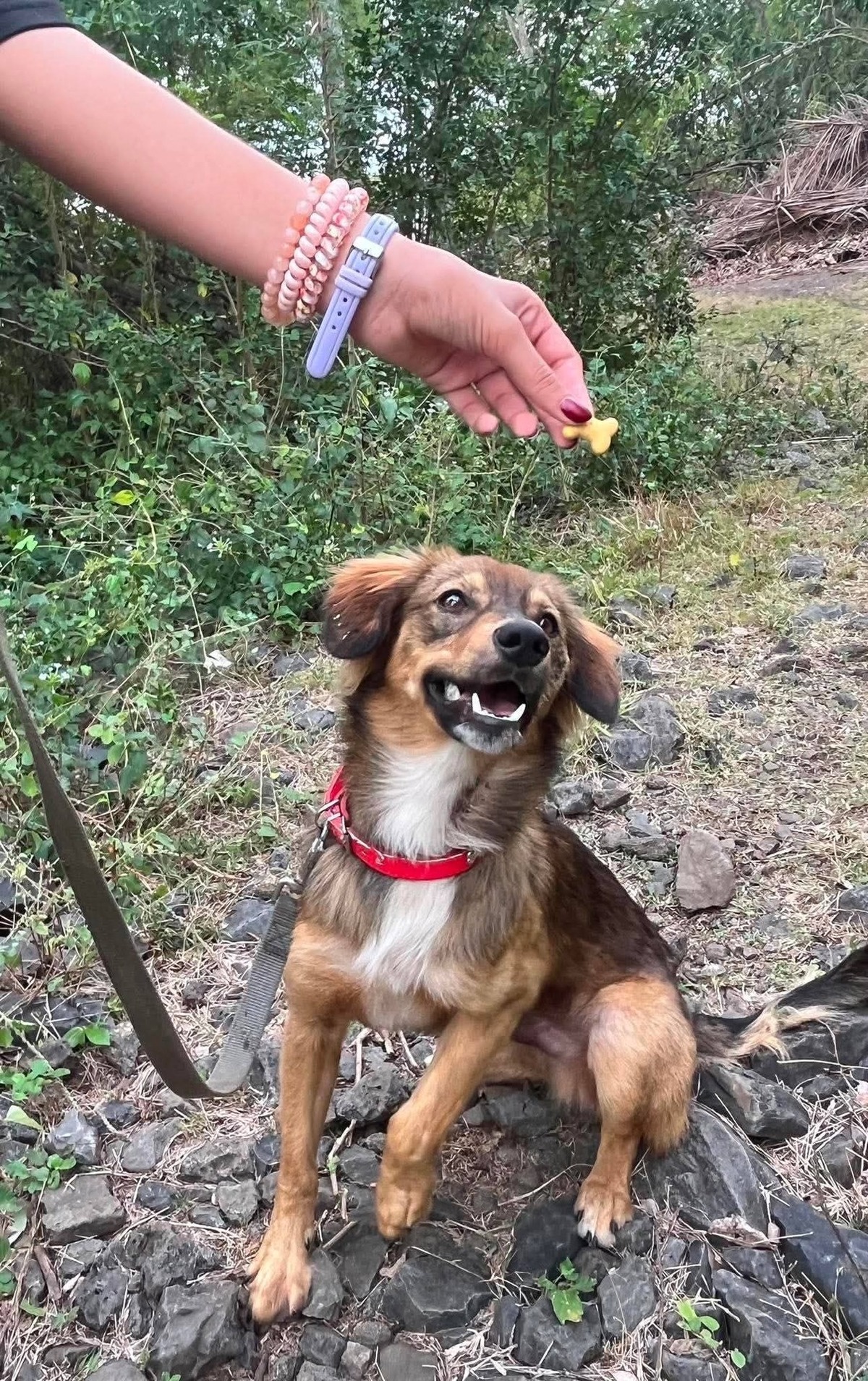 Adoption Corto