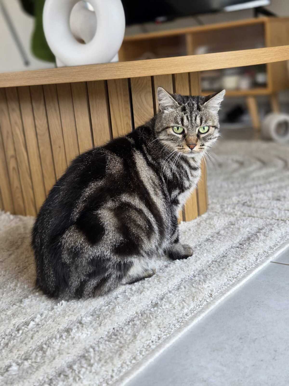 Adoption Bryony