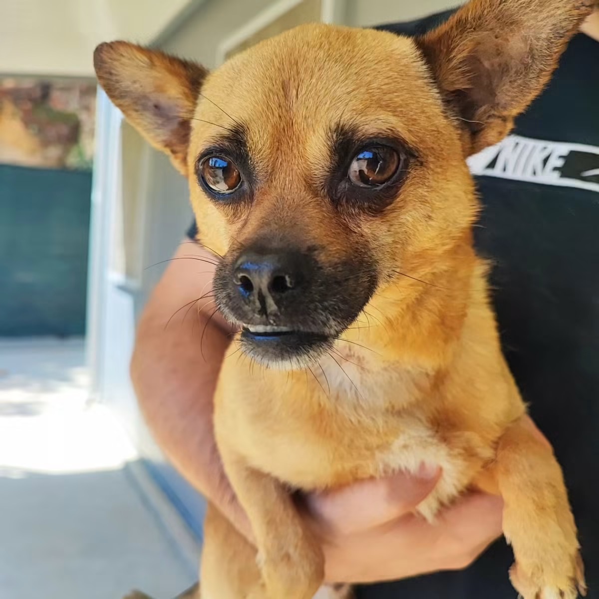 Adoption Lucas
