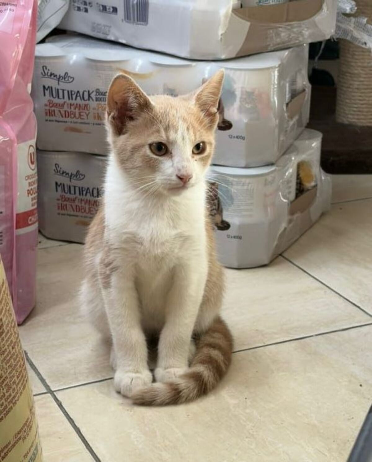Adoption Nuggets