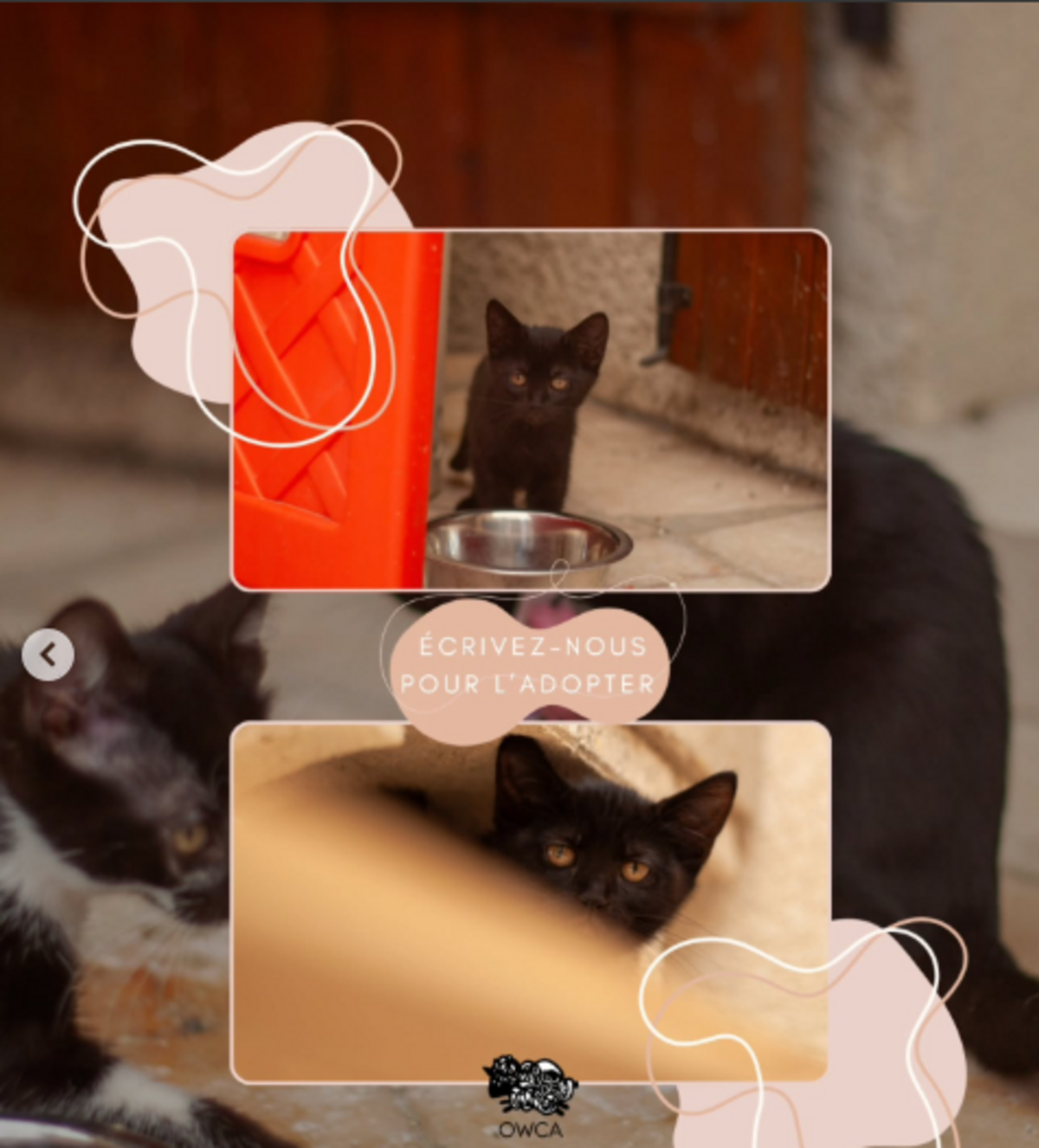 Adoption Margarette