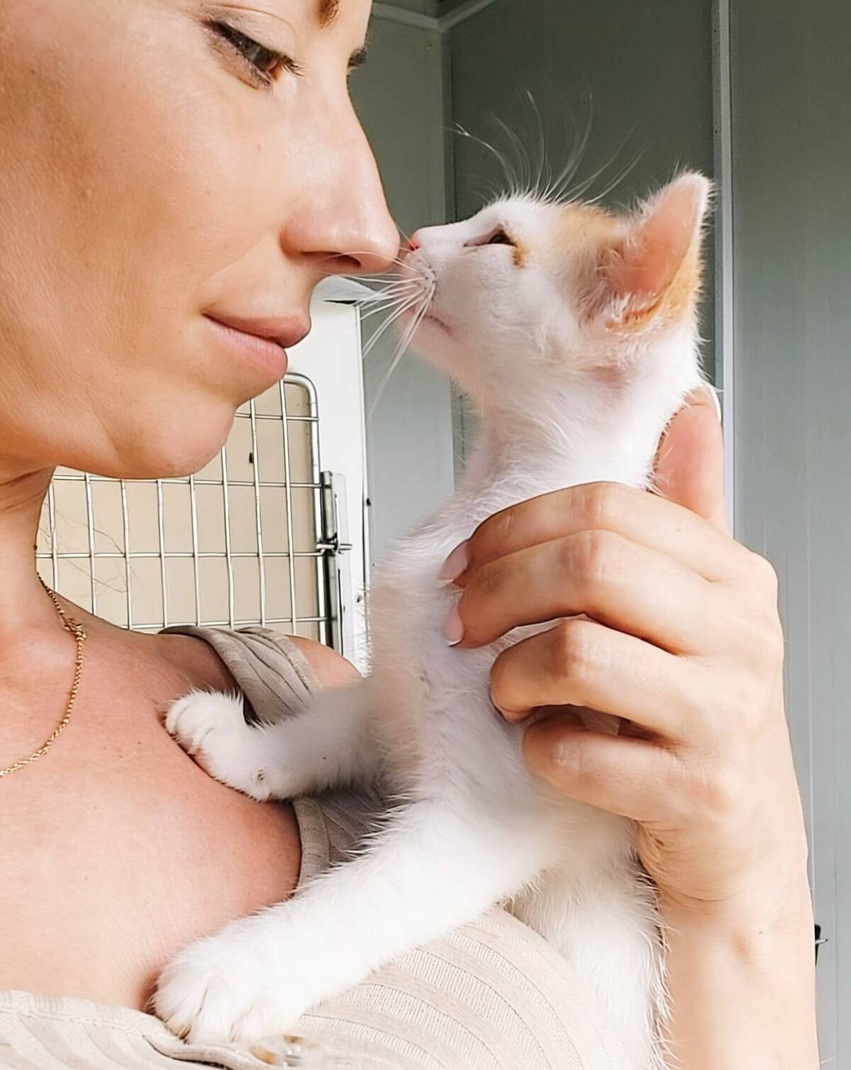 Adoption IRIS