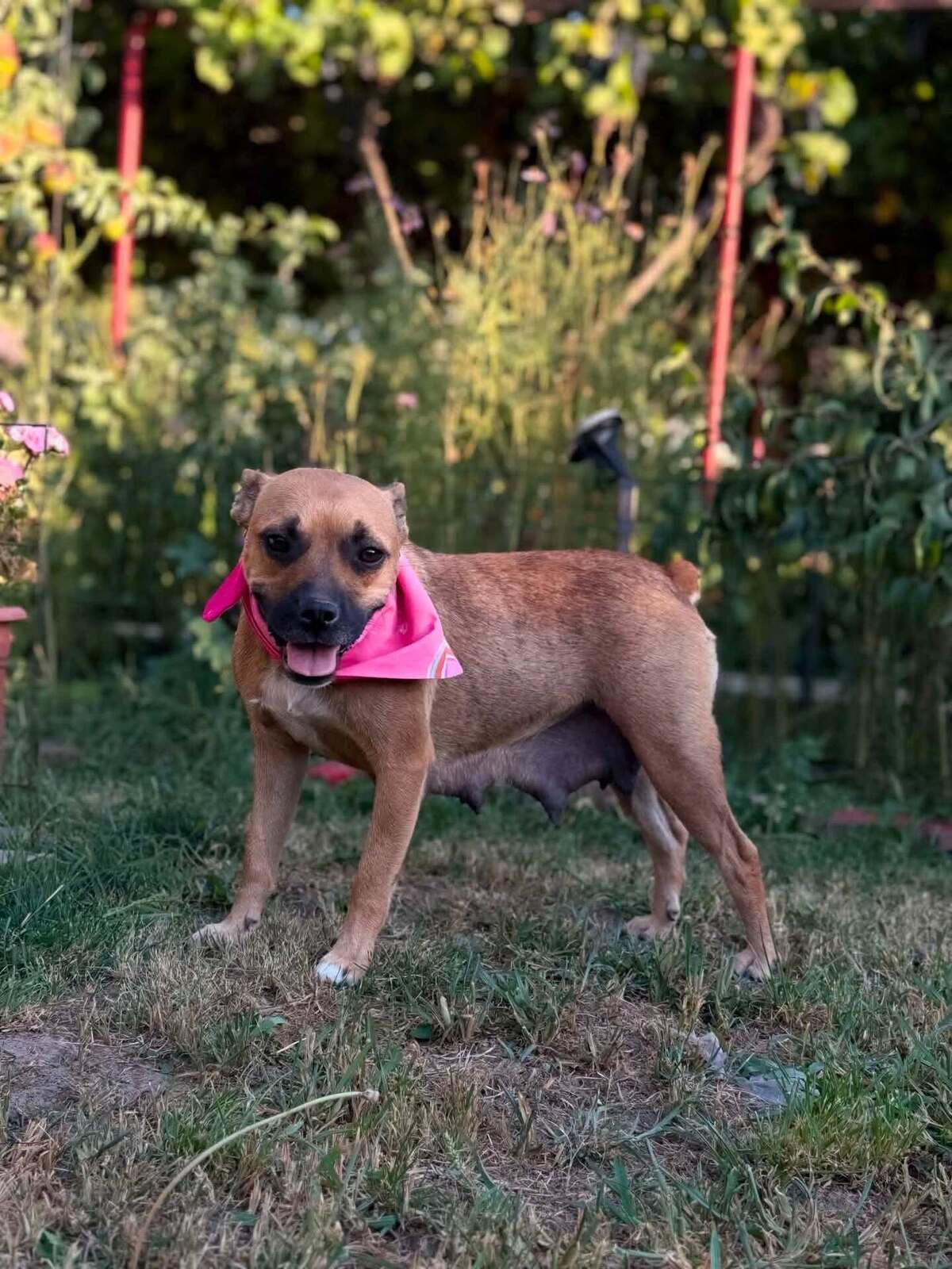 Adoption Madeleine