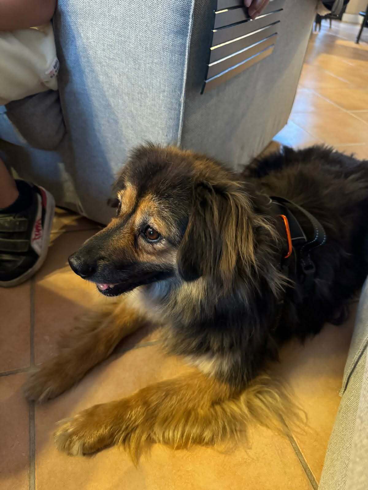 Adoption Carla