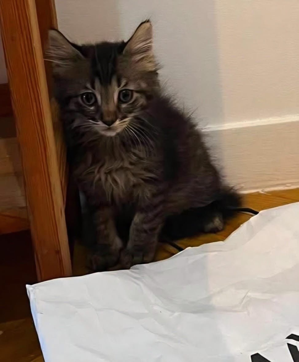 Adoption PUYU