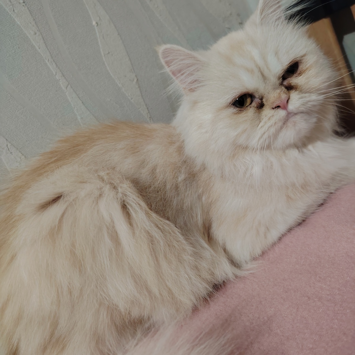 Adoption Lili