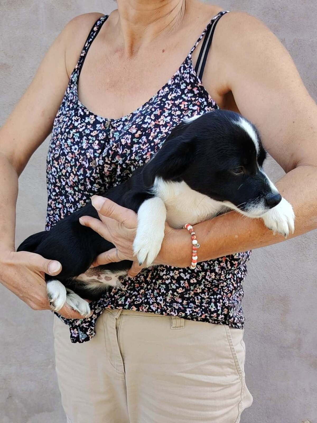 Adoption Moka